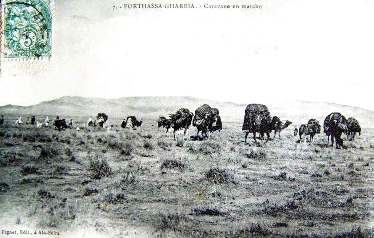 Forthassa Gharbia  02.jpg